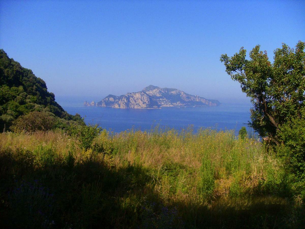 Il Paradiso Degli Dei 2 Apartment Agerola